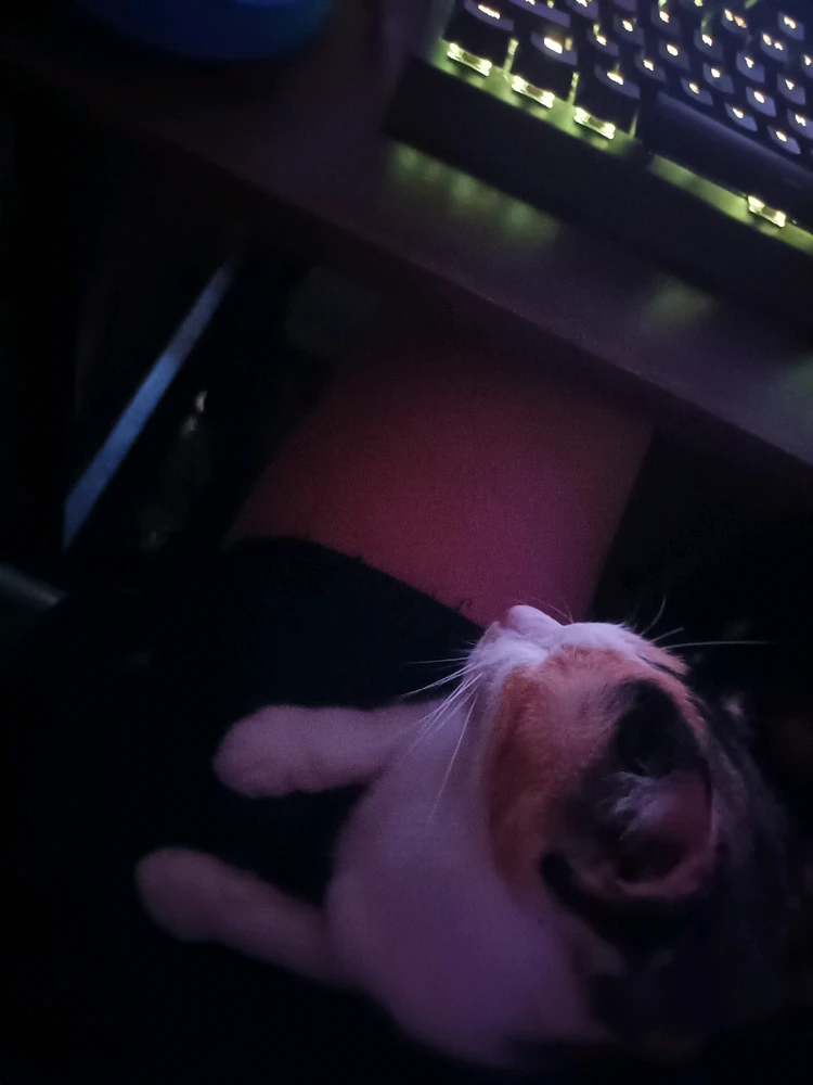 I-upload ni Angel ang larawan