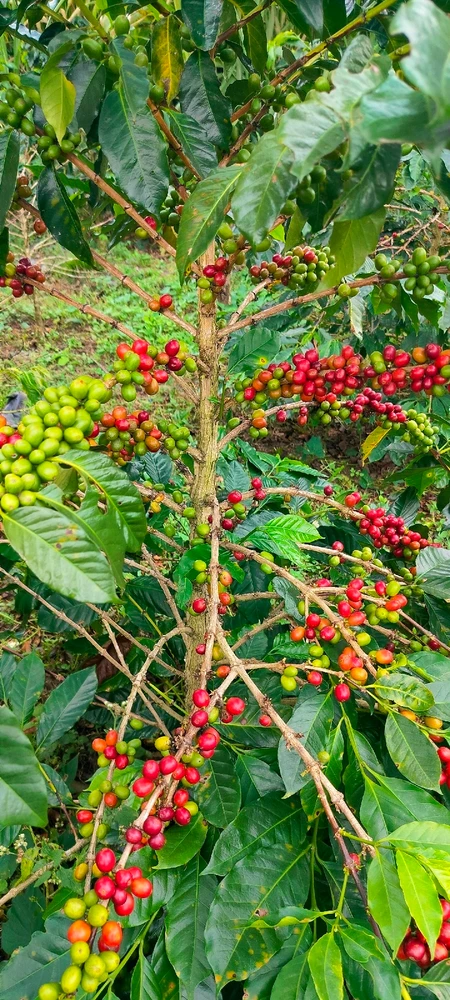 Gambar diunggah oleh ERsya