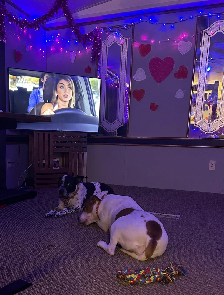 Image uploaded by Jessica Star