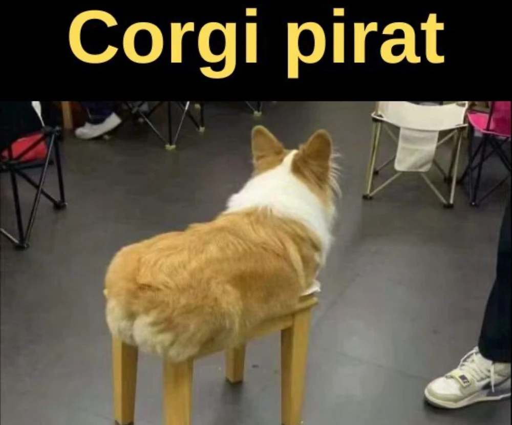 Zdjęcie dodane przez Maciej