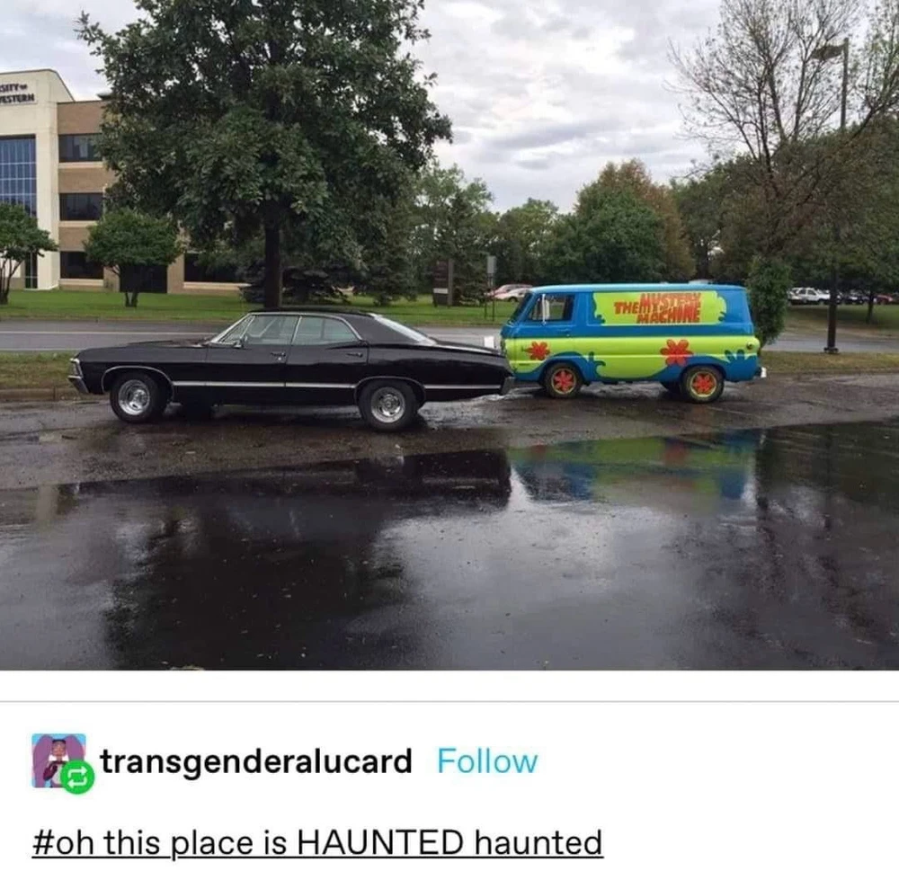 Image uploaded by Steph