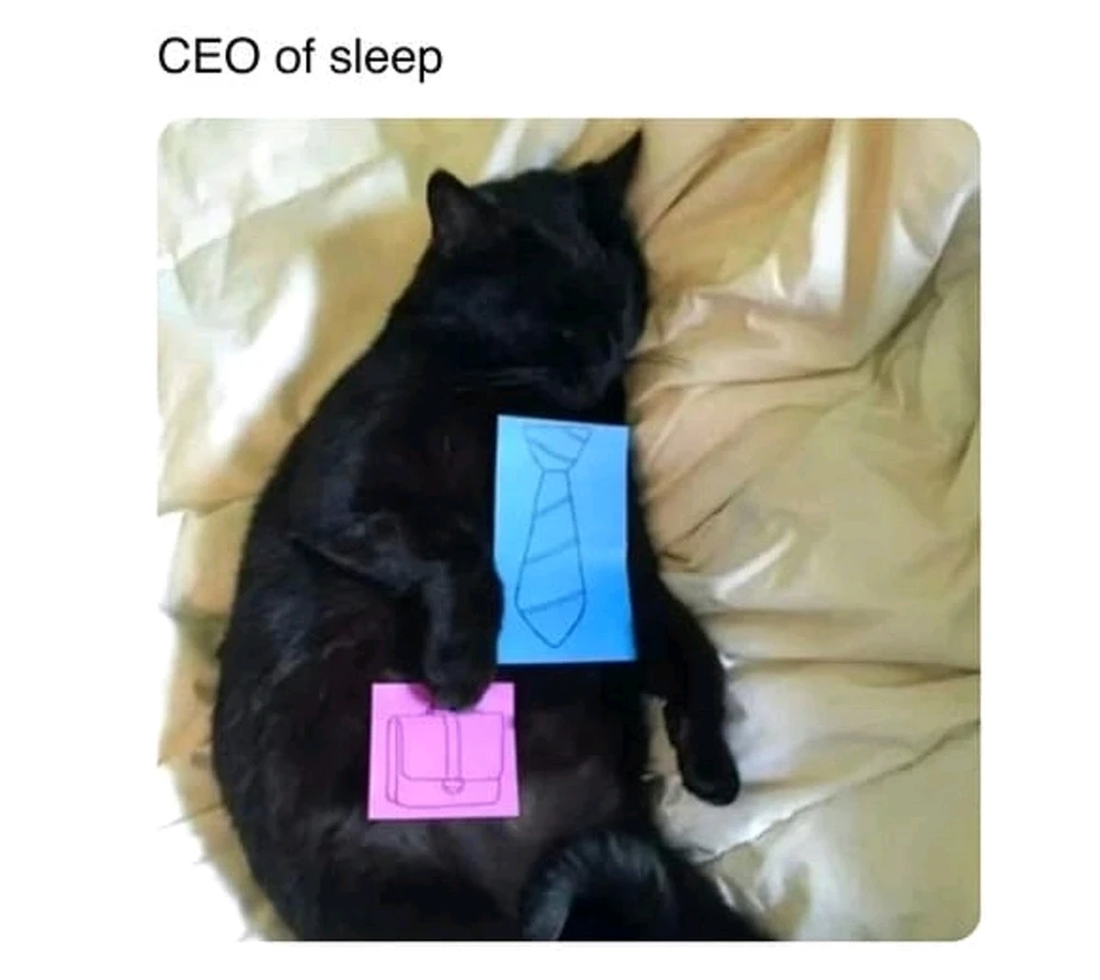 Image uploaded by ​​🇦​​🇱​​🇪​​🇽​