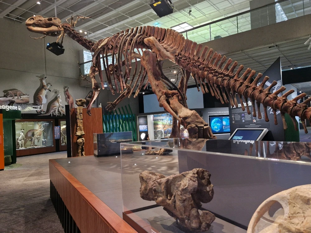 Image uploaded by Daniel