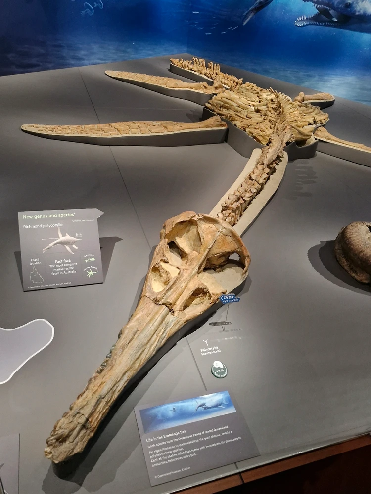 Image uploaded by Daniel