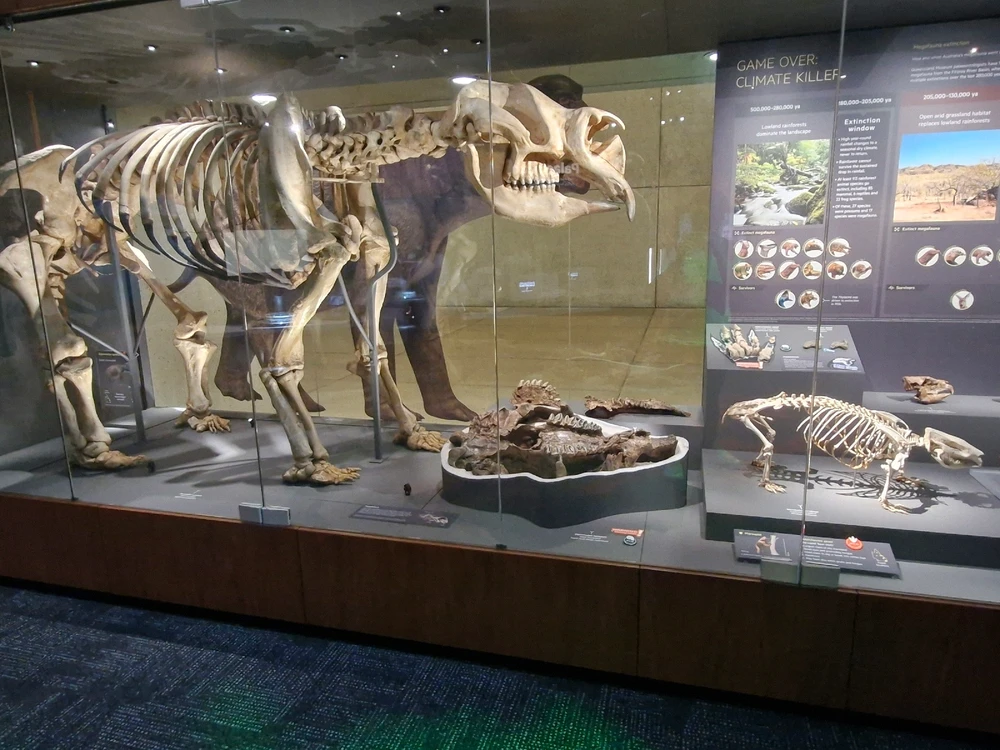 Image uploaded by Daniel