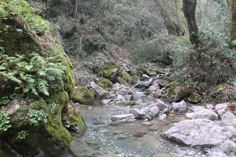 Θεοφιλος(e)k igotako irudia