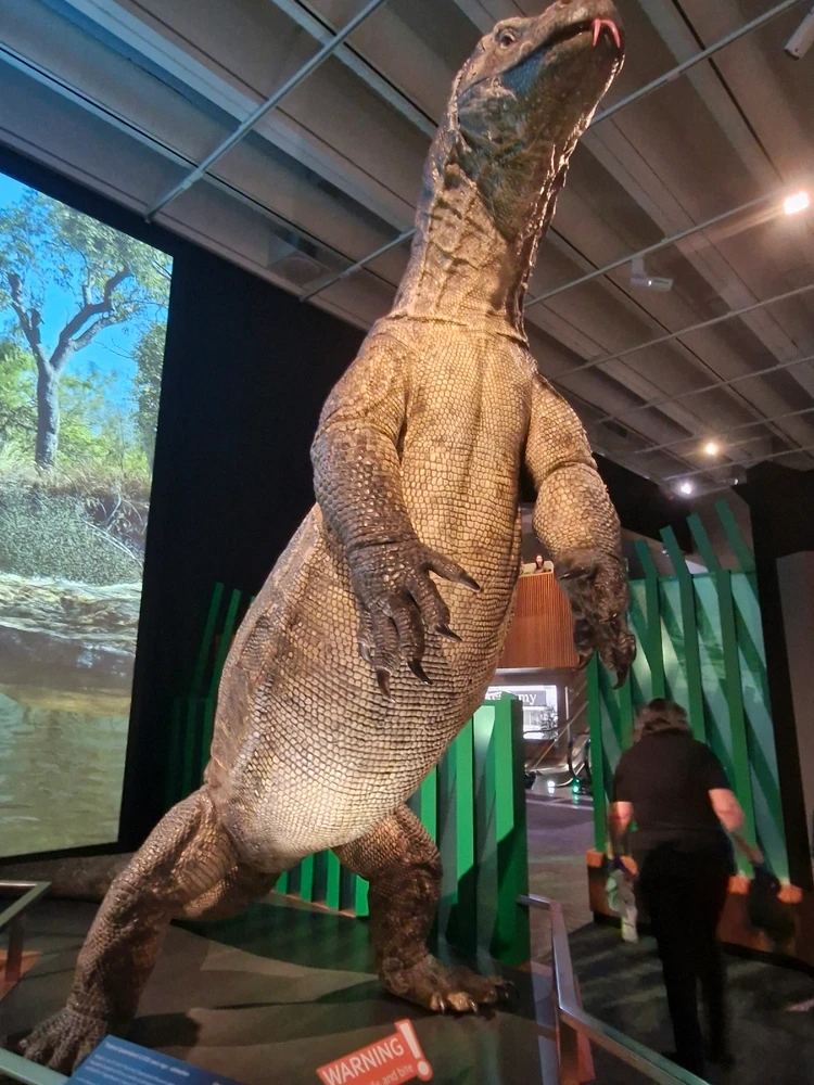 Image uploaded by Daniel