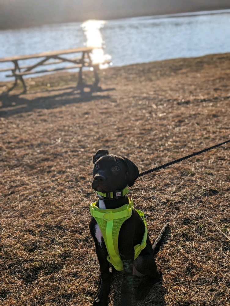 Gambar diunggah dening Jessy