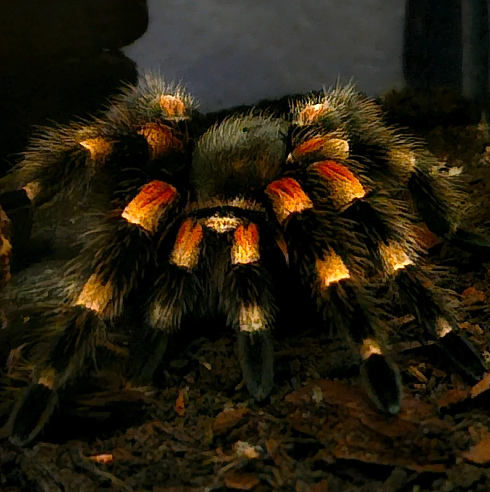 Bild hochgeladen von Lucas