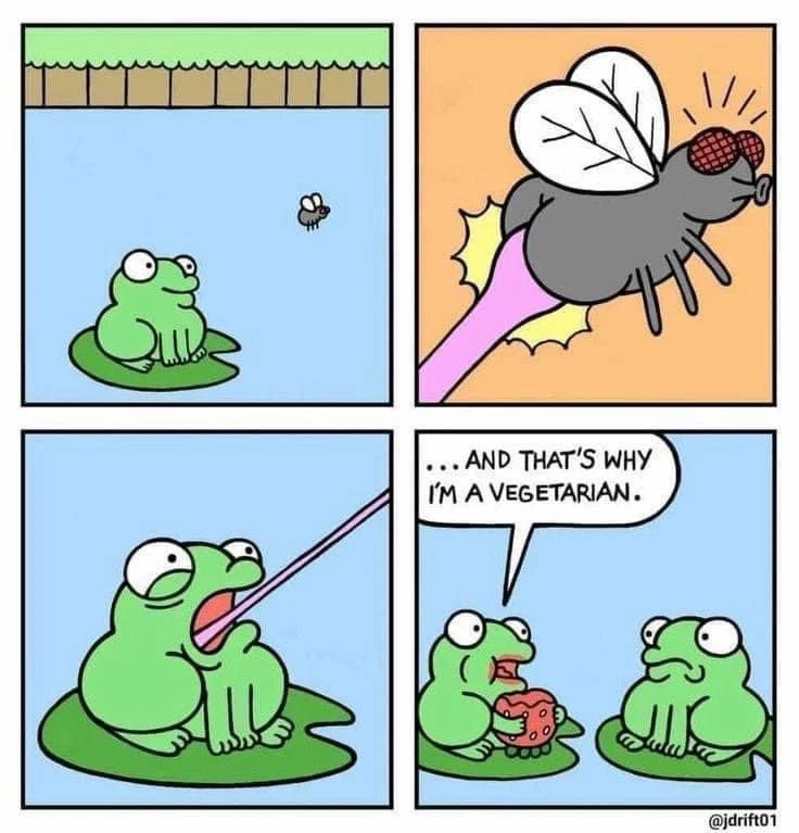 4 piece comic sequence illustrating a frog sitting on a leaf floating in a pond, while a fly passes by. Zap! He became vegan 