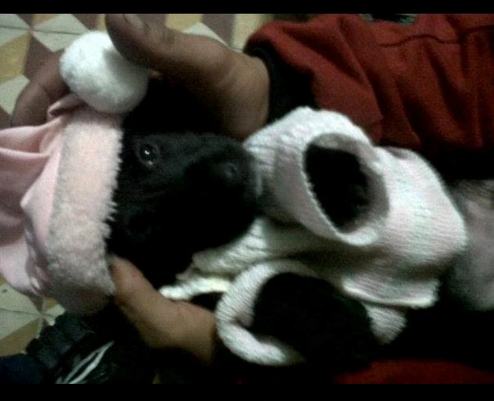 Imagen subida por Alexander