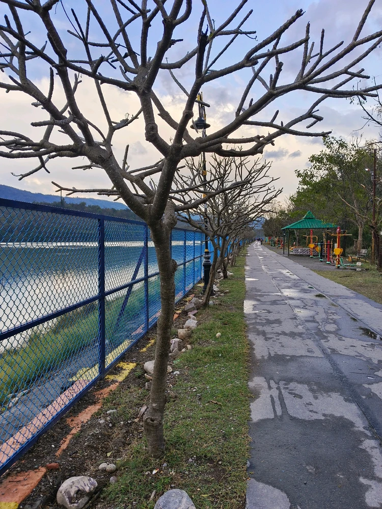 Obrázek nahrál Ved