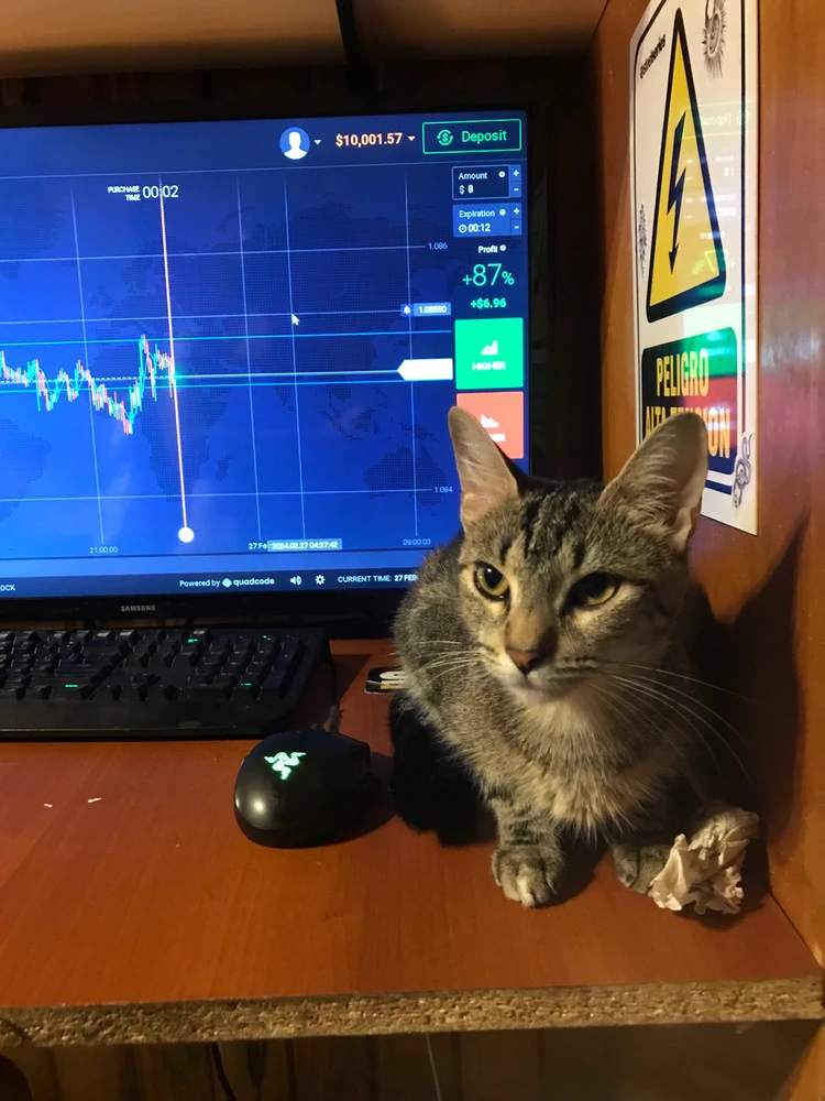 Imagen subida por juani