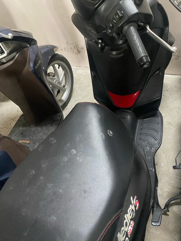 Ảnh do Thành tải lên