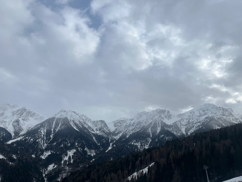 Obrázek nahrál 🤍