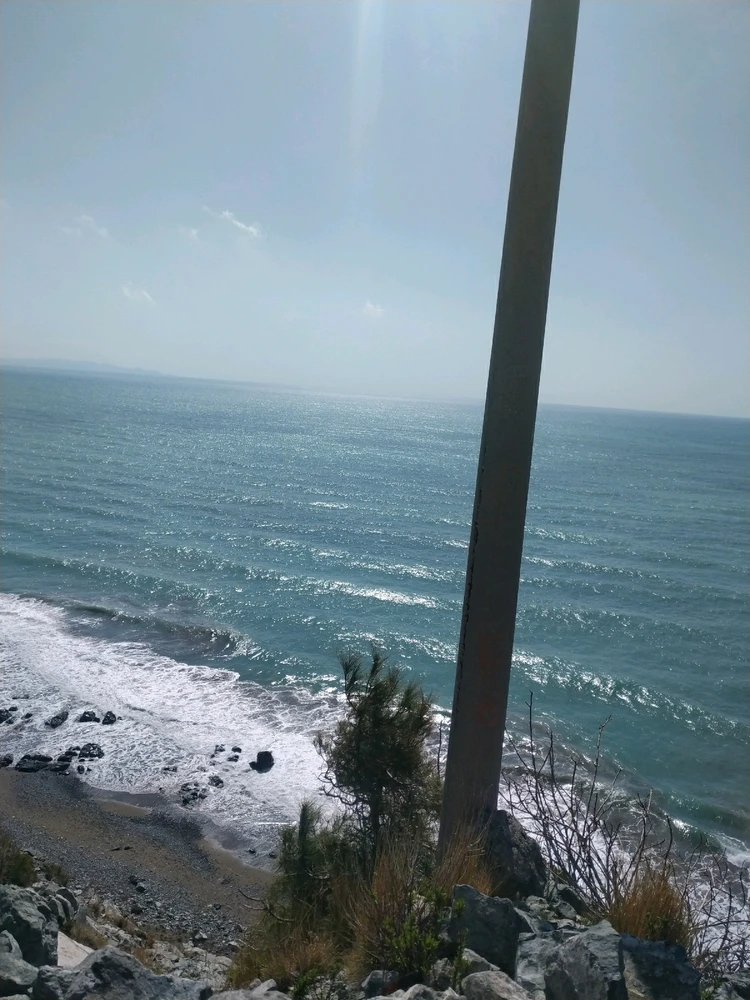 Hasan tarafından yüklenen görsel