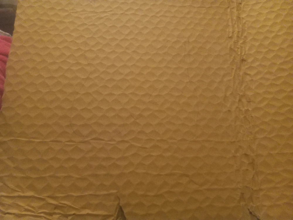 Image uploaded by Willow