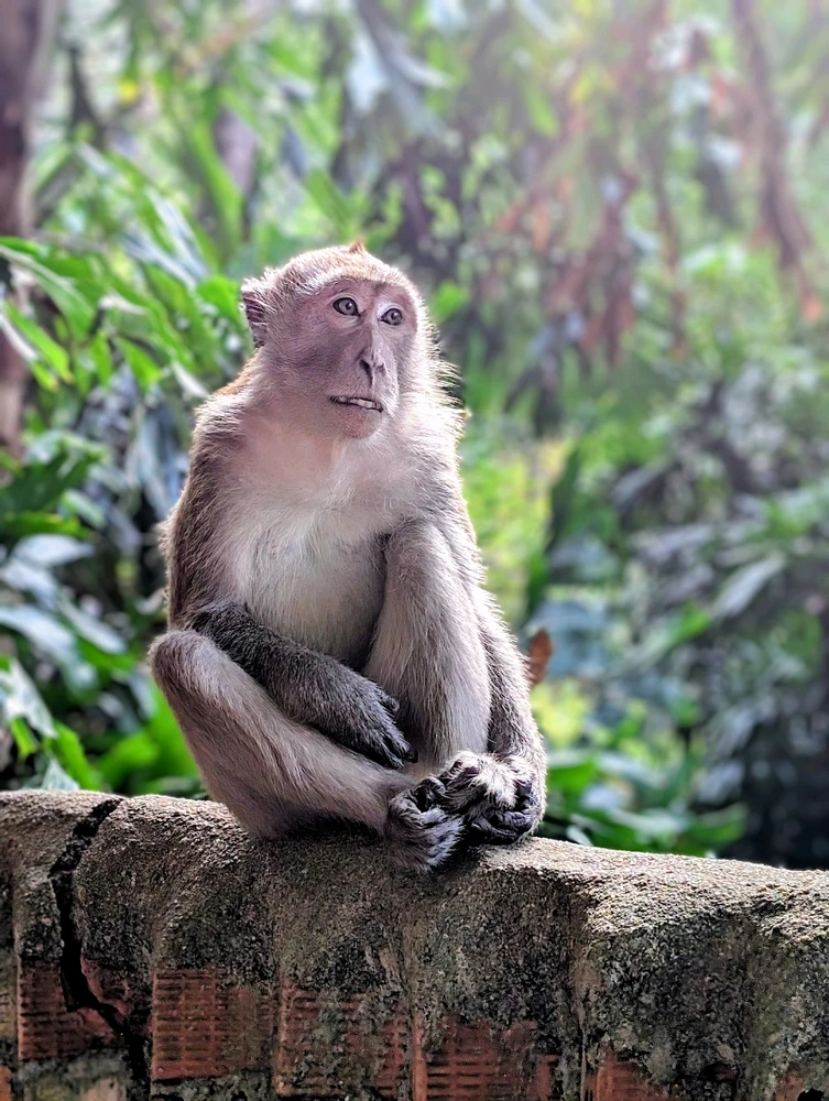 Bild hochgeladen von Dennis