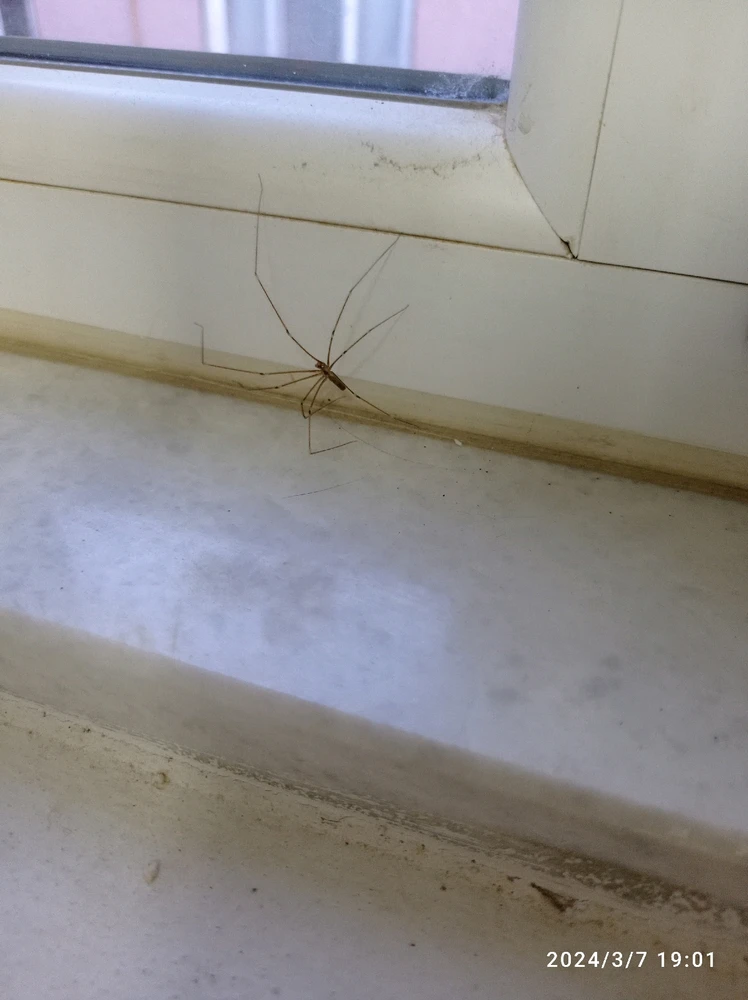 Makarov tarafından yüklenen görsel