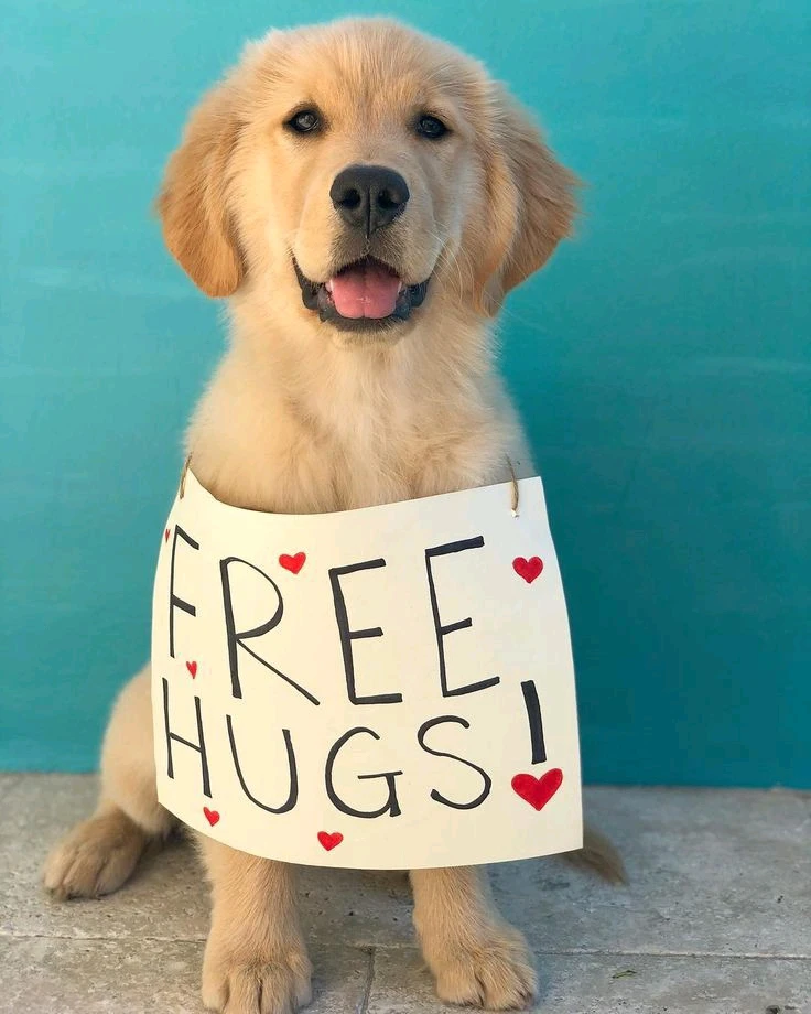 Bild hochgeladen von Leo