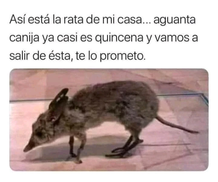 Imagen subida por Adrián