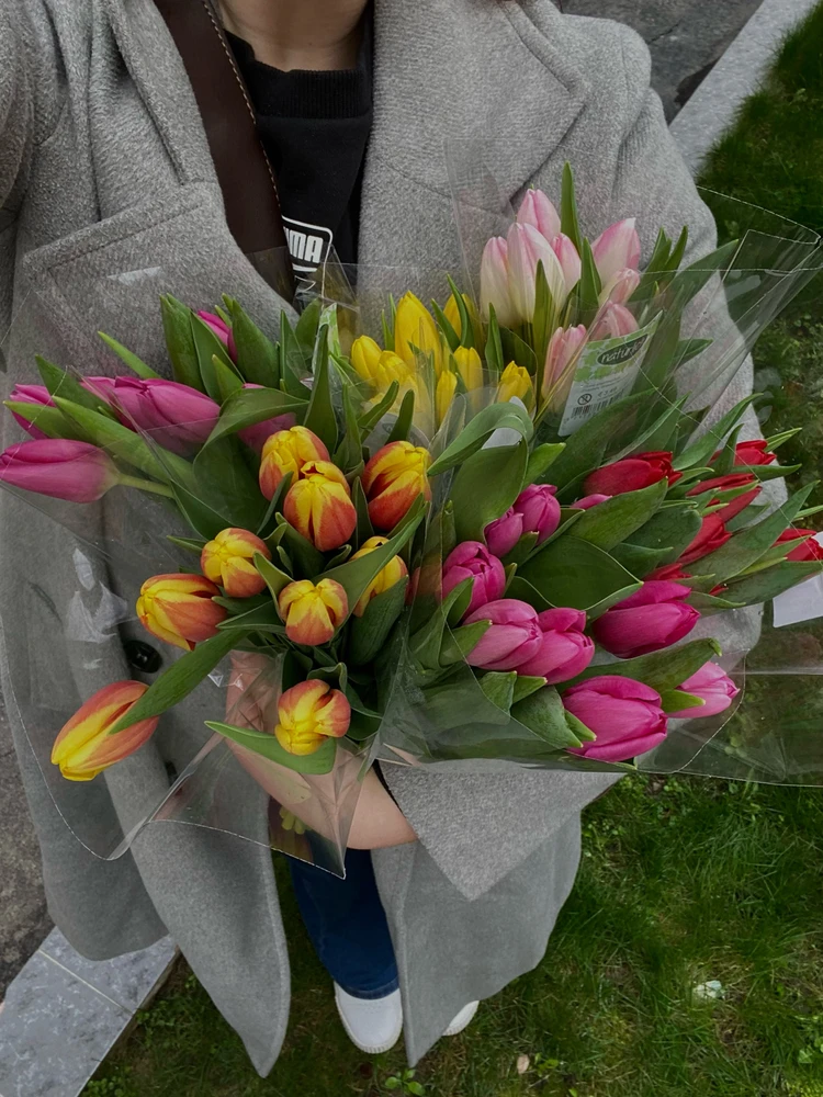 Зображення завантажив Mariia