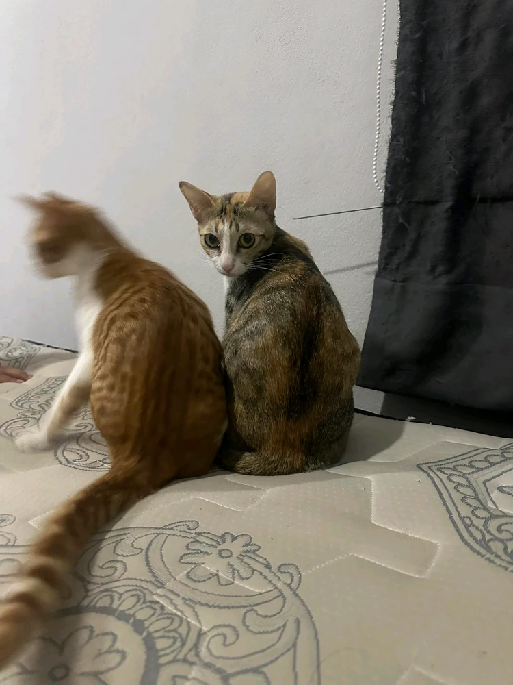 รูปที่อัพโหลดโดย Latte