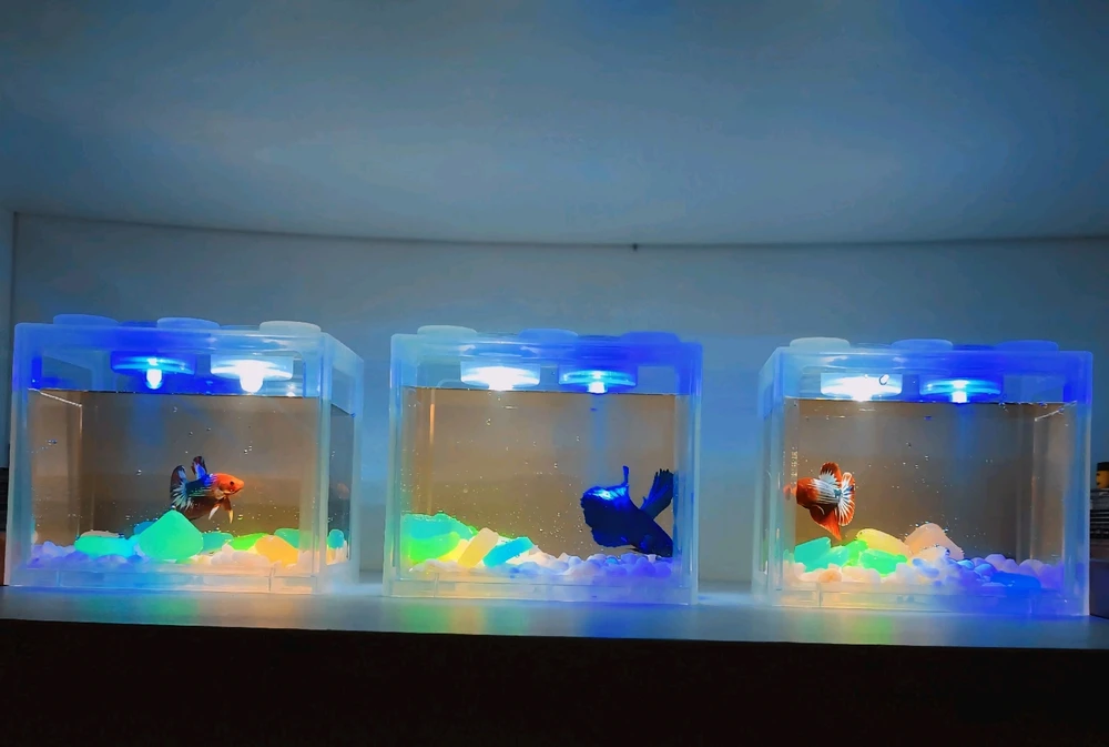 Image uploaded by 𝓙𝓪𝔂𝓷𝓮