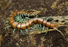 Immagine caricata da Daniele A.