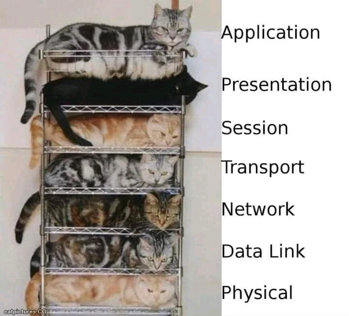 Image uploaded by Ahmed