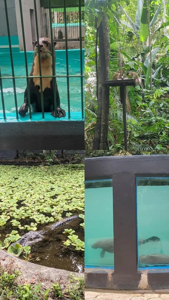 Image uploaded by Nadja