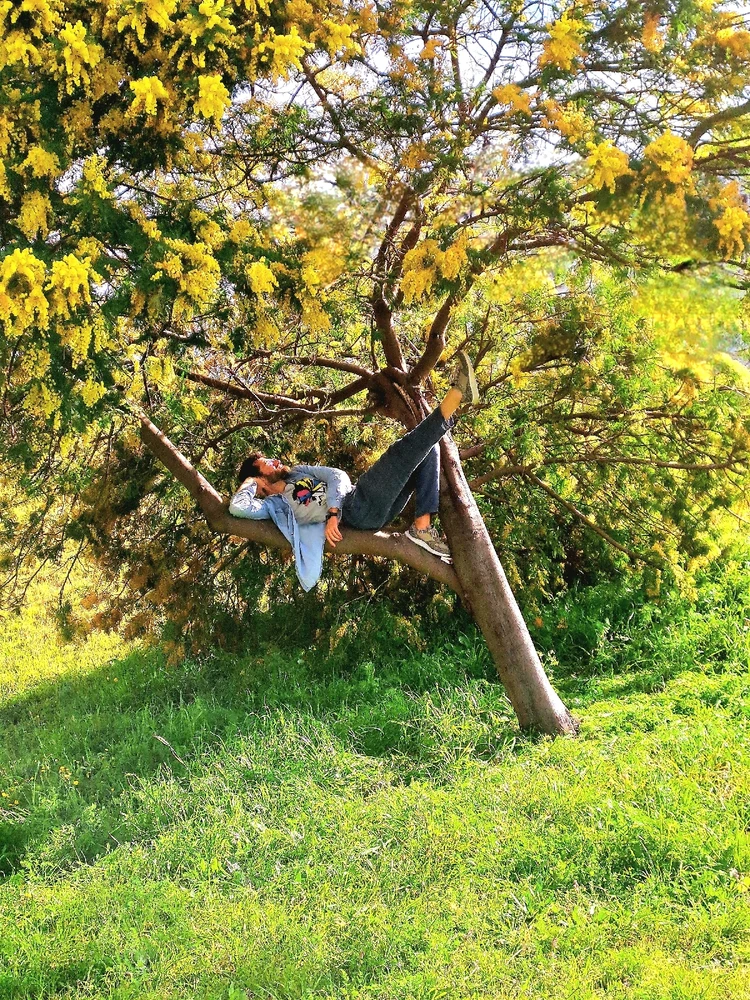 Immagine caricata da Raffaele