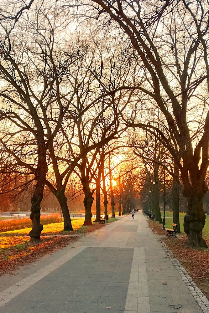 Image uploaded by Miguel