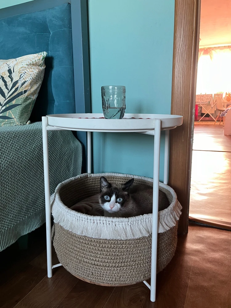 Image uploaded by Valeriya