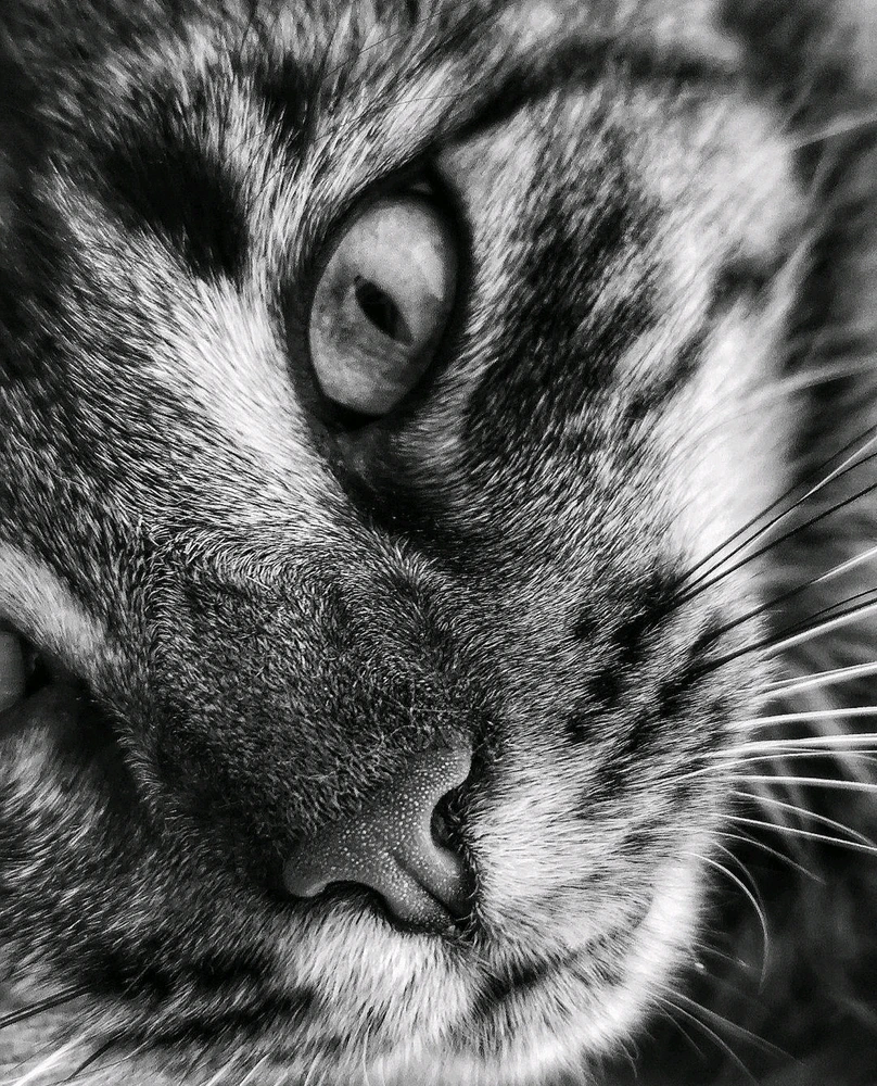 Image ajoutée par Caroline