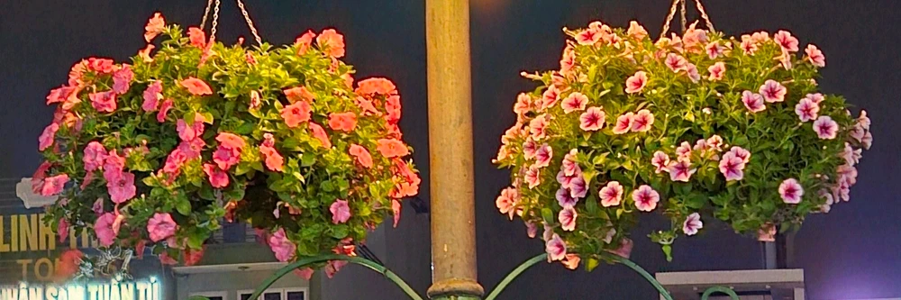 Ảnh do Hoàng Tân tải lên