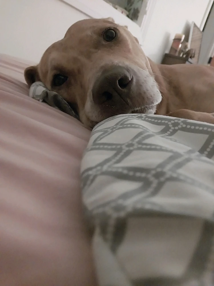 Image uploaded by Stephanie