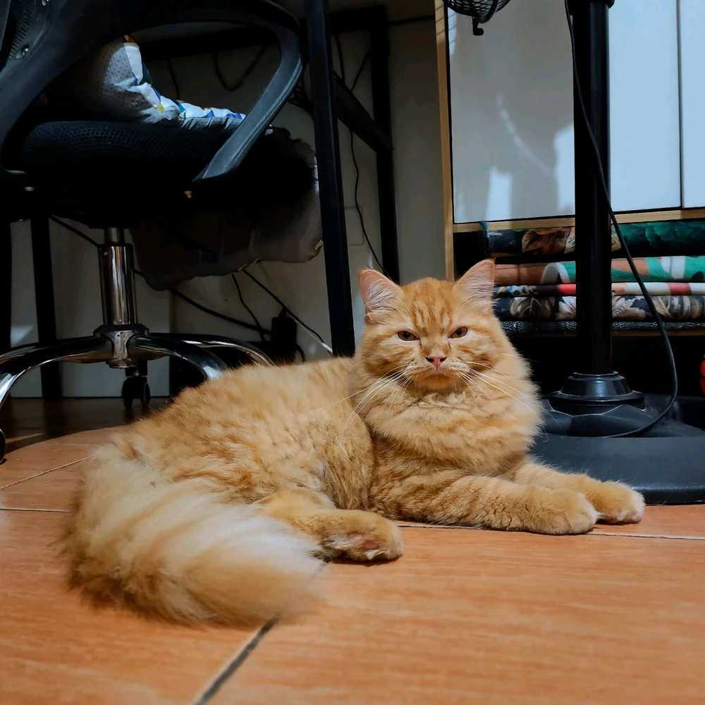 Image uploaded by 𝓙𝓪𝔂𝓷𝓮
