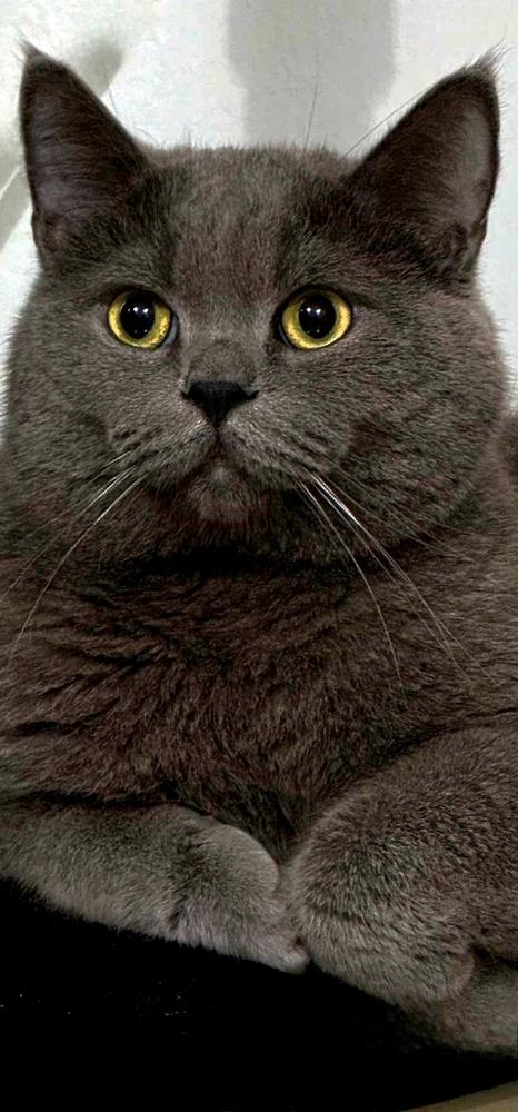 my tamoody tabachuchi ❤️❤️❤️