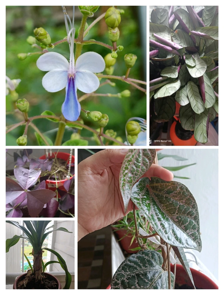Image uploaded by Ree