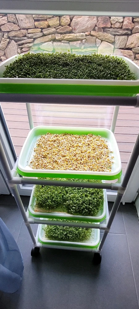 Bild hochgeladen von Hitverdächtig \e/