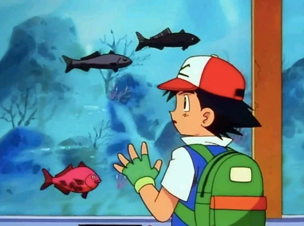 Image uploaded by Jose