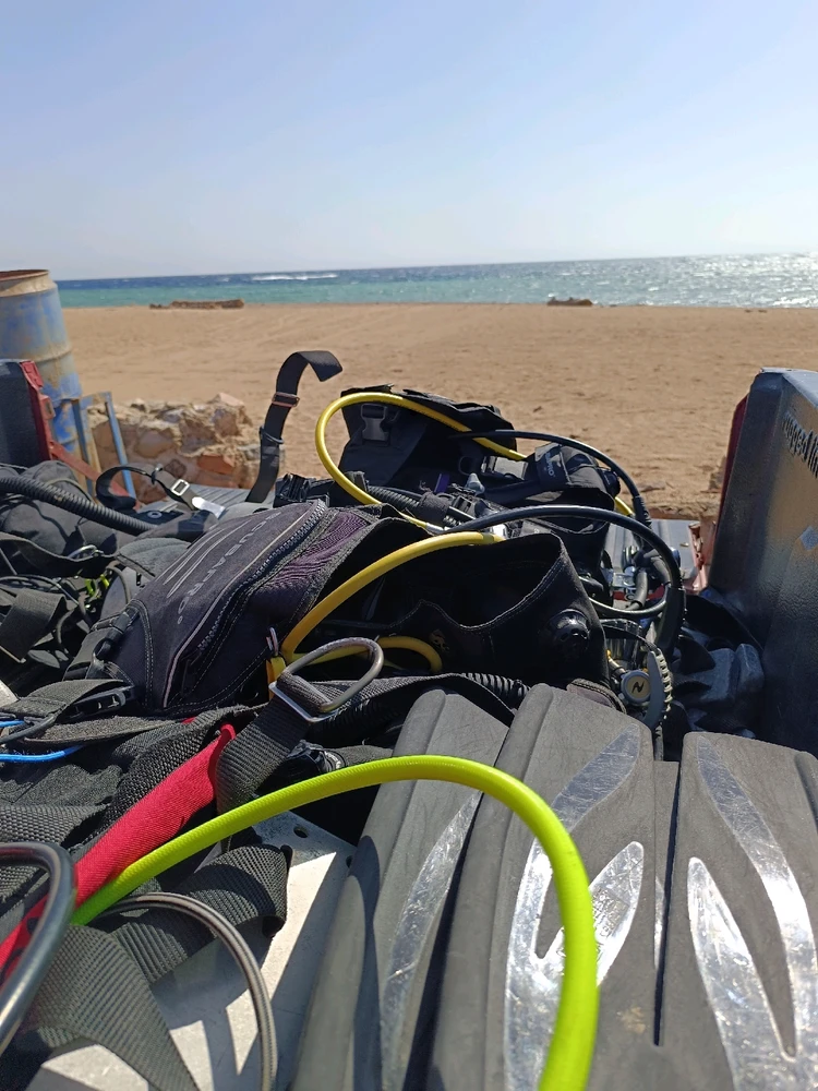 Image uploaded by Aliona