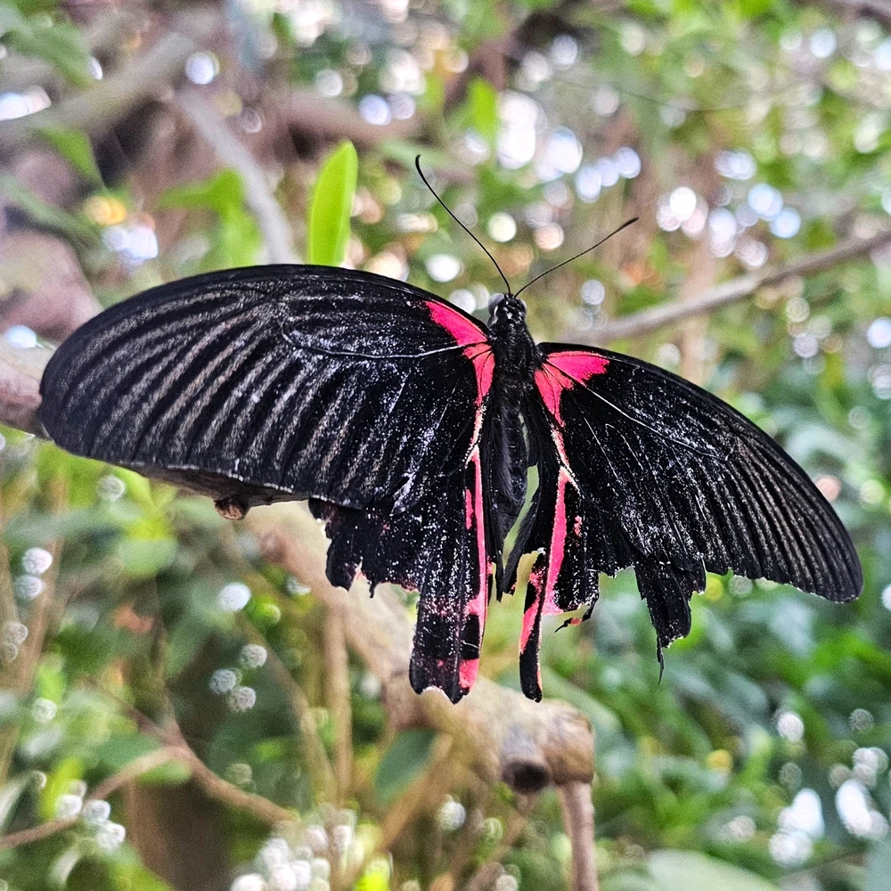 Bild hochgeladen von Charlotte