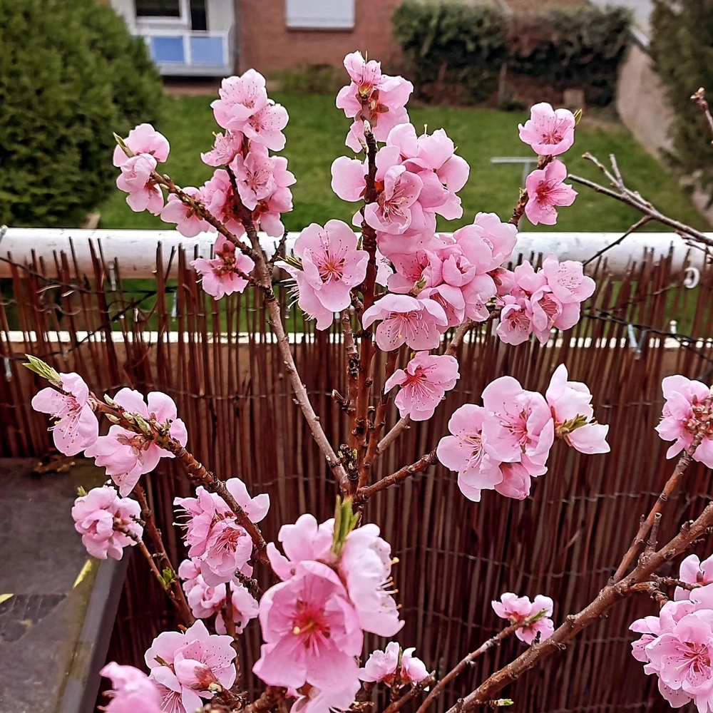 Bild hochgeladen von Mirco