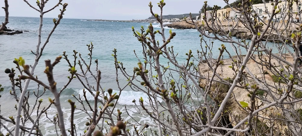 Image ajoutée par Cristina