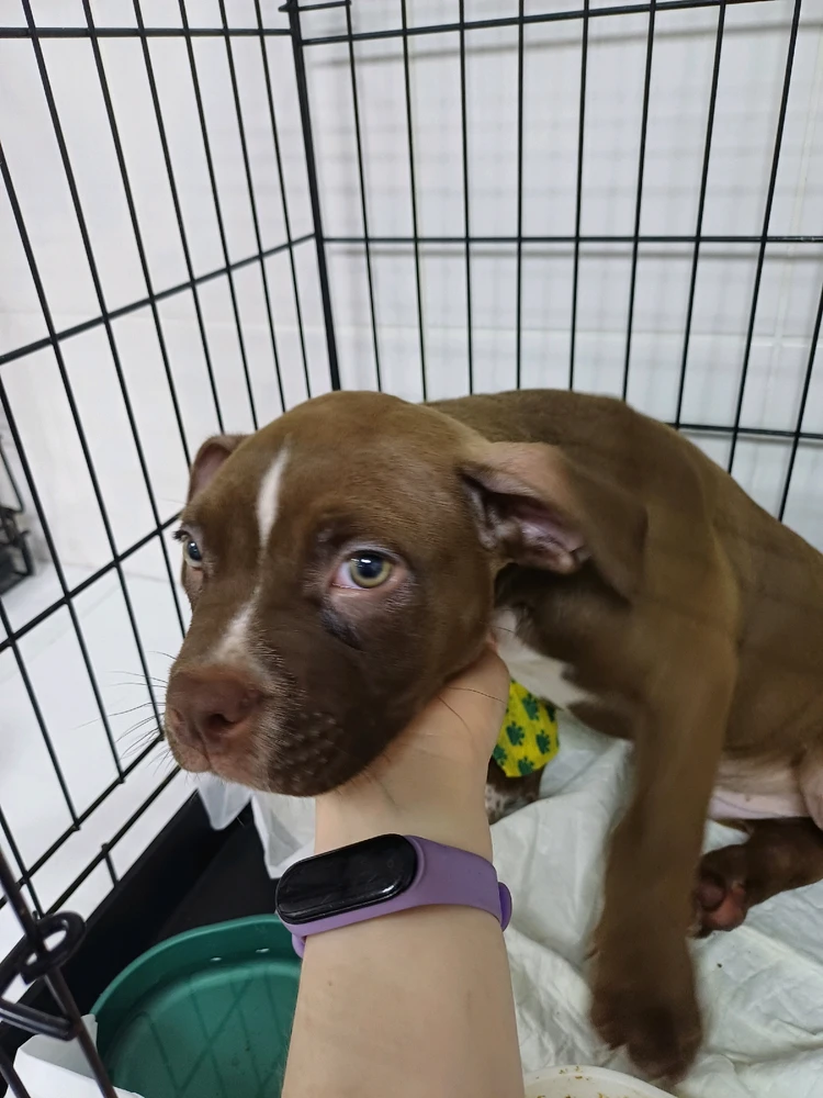 Евгения님이 올린 사진