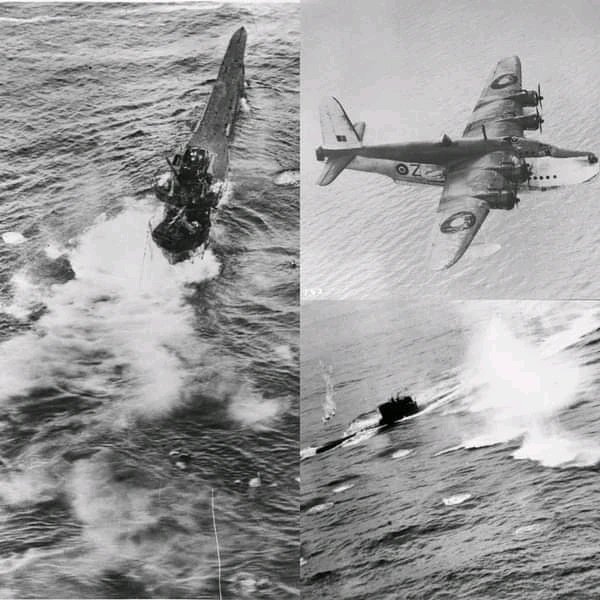 Image uploaded by Erik Thackrey