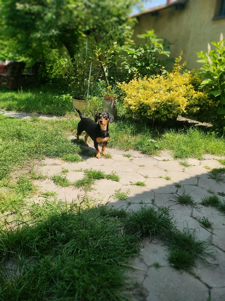 Krisztián által feltöltött kép