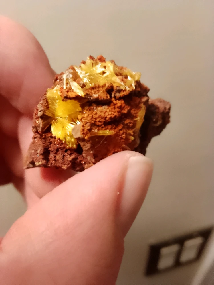 Image uploaded by Katlyne